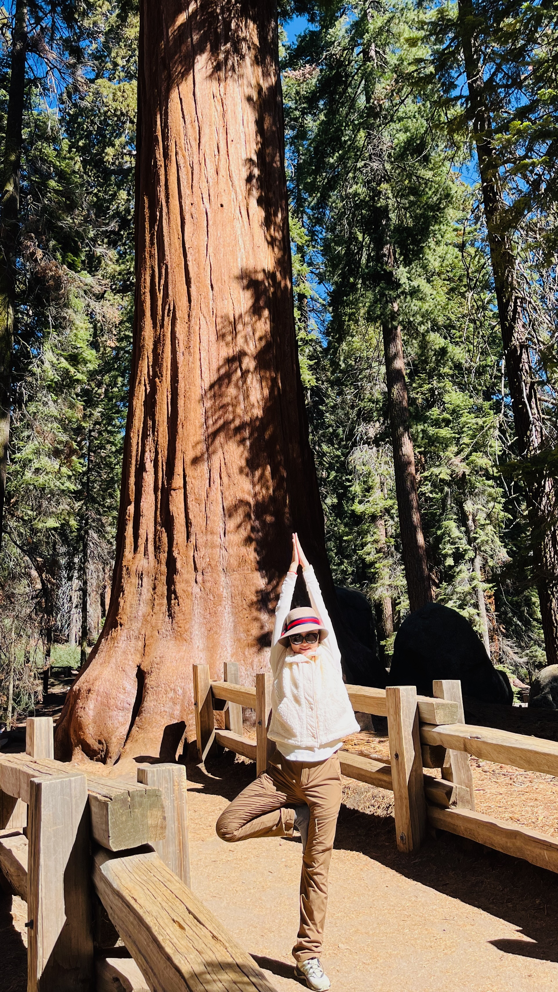 Vrksasana - Tree pose